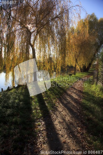 Image of Small Lake with Trees in Autumn