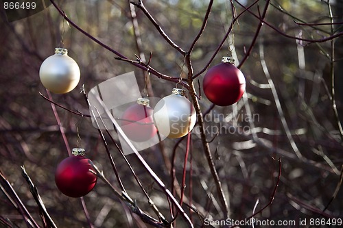 Image of Christmas balls