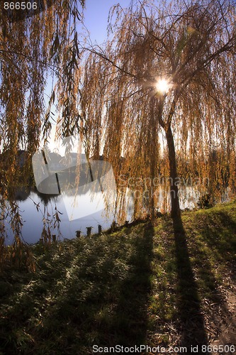 Image of Small Lake with Trees in Autumn