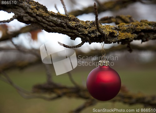 Image of Christmas balls