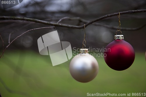 Image of Christmas balls