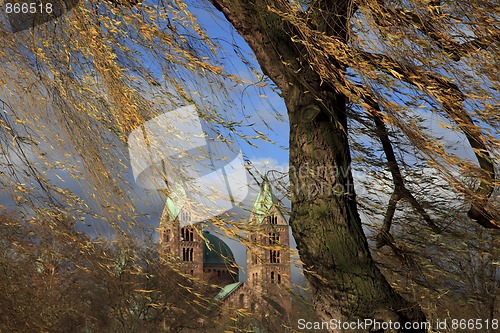 Image of Tree in autumn colors at Speyer