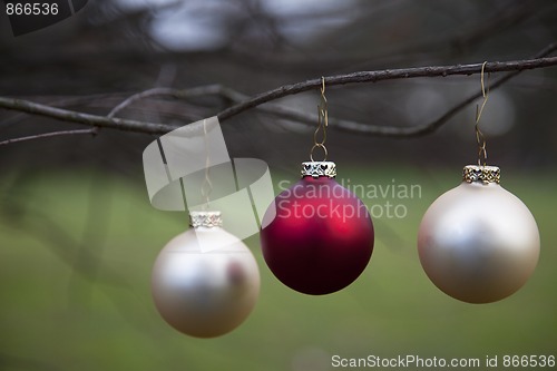 Image of Christmas balls