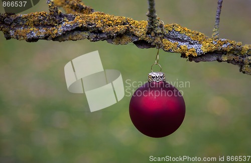 Image of Christmas balls