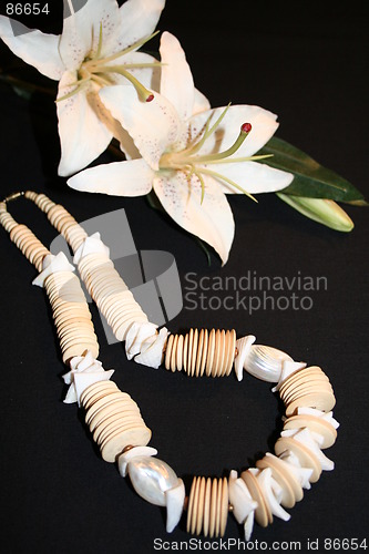 Image of Necklace and lily