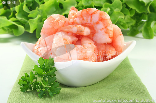 Image of Shrimp