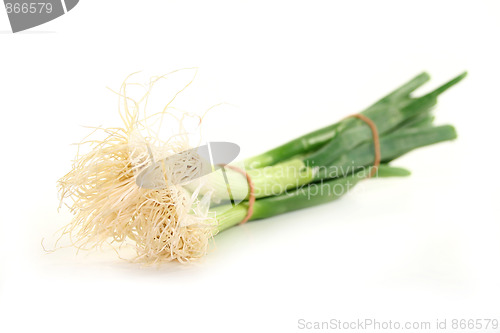 Image of Spring onions