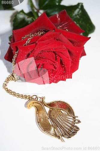 Image of Red  rose and necklace