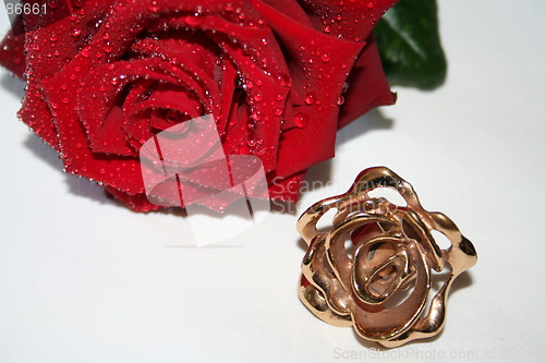 Image of Ring and rose