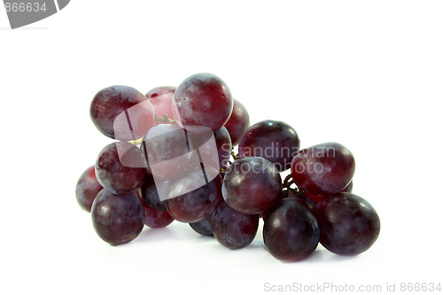 Image of Grape