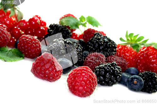Image of Berries