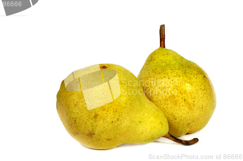 Image of Pears