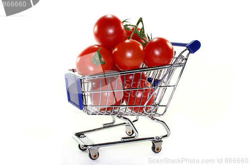 Image of Vegetable shopping