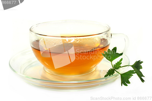 Image of Nettle tea