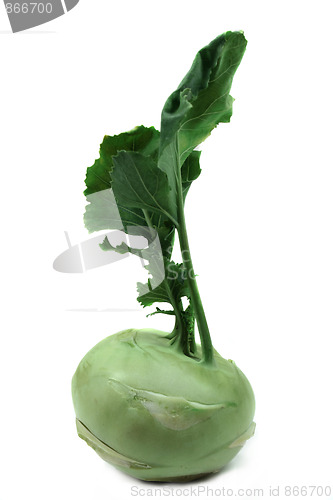 Image of Kohlrabi