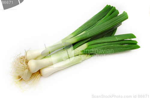 Image of Spring onion