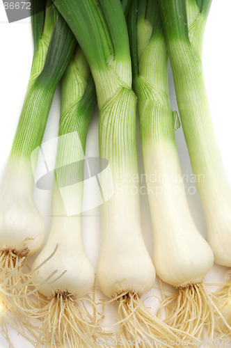 Image of Spring onion