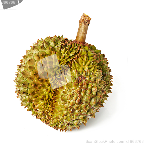 Image of Durian. Giant Tropical Fruit.