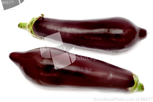 Image of Eggplants or Aubergines