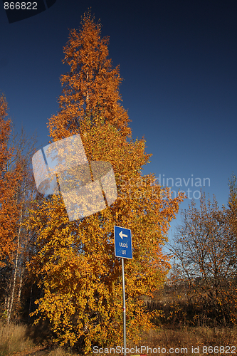 Image of Autumn