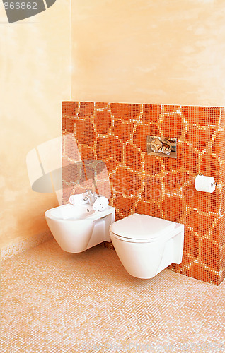 Image of Giraffe toilet
