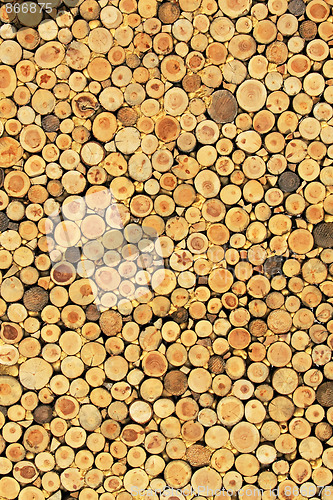 Image of Wood background