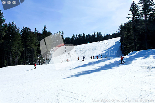 Image of Ski terrains