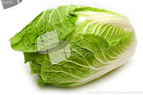 Image of Lettuce