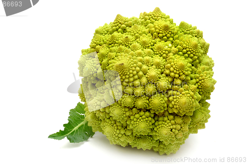 Image of Fractal Romanesco cabbage