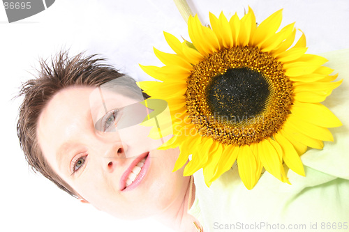 Image of Face od a Sunflower