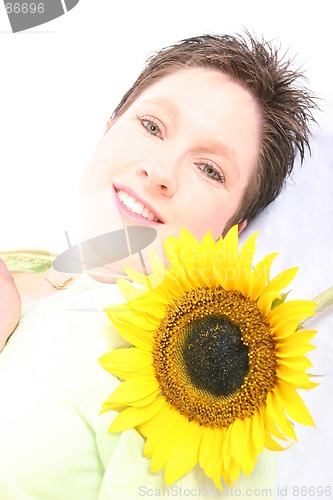 Image of Face od a Sunflower