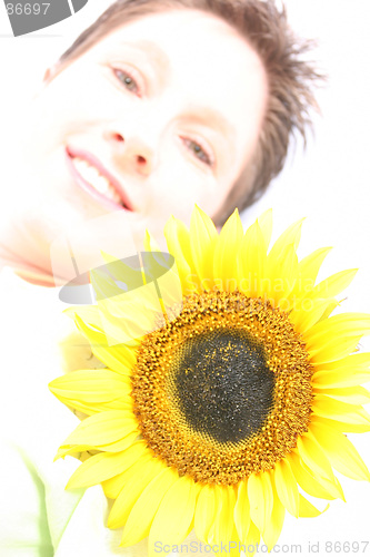 Image of Face od a Sunflower