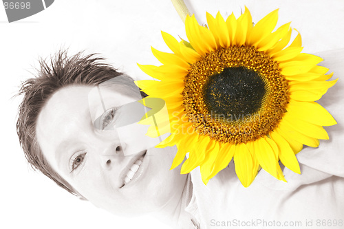 Image of Face od a Sunflower