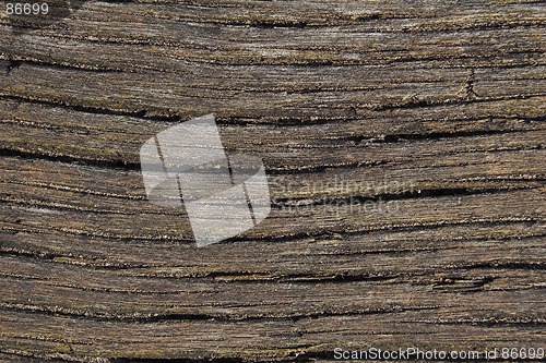 Image of Natural seawashed wood