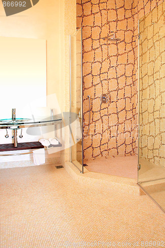 Image of Giraffe bathroom