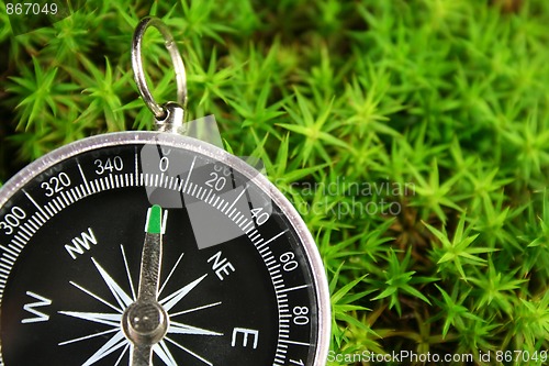 Image of Compass in the moss