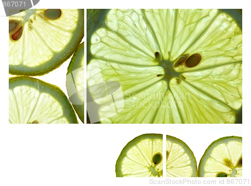 Image of Lemon Slices
