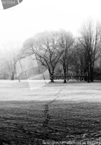 Image of Winter Landscape in Fog