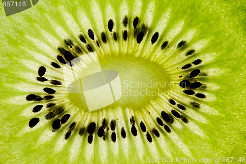 Image of Sliced Kiwifruit isolated on white