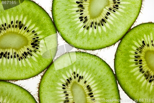 Image of Sliced Kiwifruit isolated on white