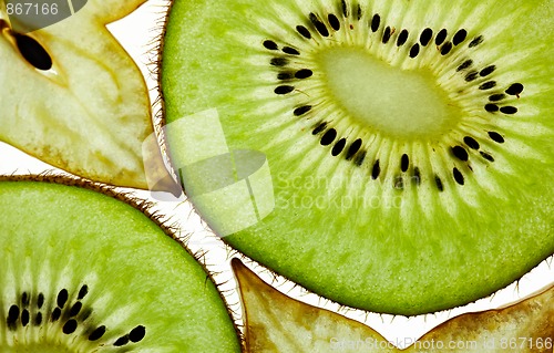 Image of Sliced Kiwi and Carambola Starfruit isolated on white
