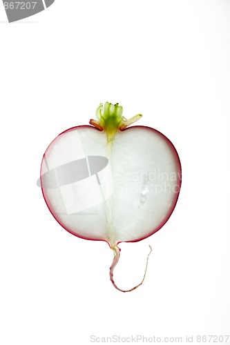 Image of Sliced Vegetables on white