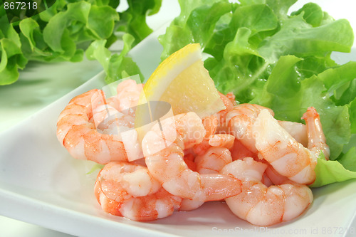 Image of Shrimps