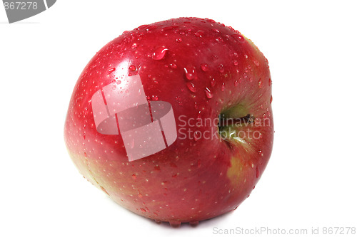 Image of Apple