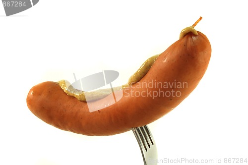 Image of Sausage