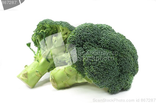Image of Broccoli
