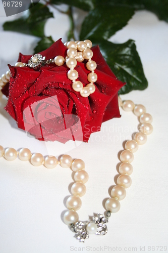 Image of Pearl-necklaces and red rose