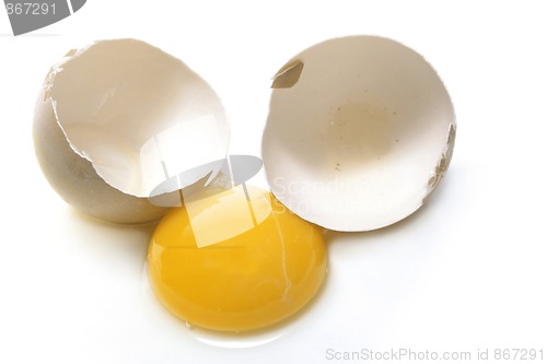 Image of raw egg