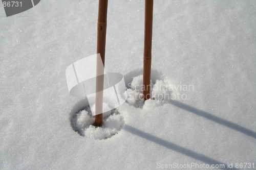 Image of Ski sticks