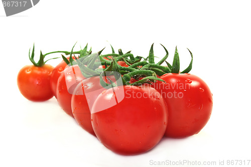 Image of Tomatoes